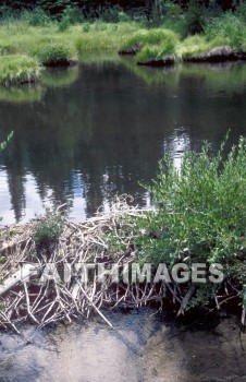 dam, beaver, gorge, Landscape, Valley, outdoors, lake, great, nature, environment, natural, dams, Gorges, landscapes, valleys, lakes, natures, environments