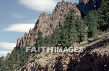 mountain, tree, peacefulness, serenity, Landscape, inspirational, outside, nature, environment, natural, mountains, trees, serenities, landscapes, outsides, natures, environments