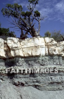 canyon, tree, gorge, flora, wilderness, isolated, erode, nature, erosion, View, park, desert, isolation, isolate, eroded, environment, natural, rock, canyons, trees, Gorges, wildernesses, natures, erosions, Views, parks