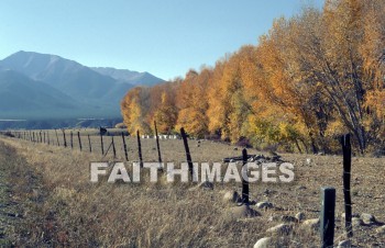 autumn, leaf, outside, forest, outdoors, foliage, treetrunks, tree, wood, environment, nature, natural, leaves, outsides, forests, foliages, trees, woods, environments, natures