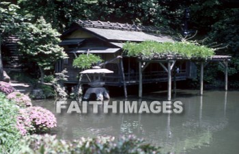 tree, House, shelter, garden, flower, lake, culture, traditional, ethnic, Asian, cultural, Japanese, Japan, oriental, trees, houses, shelters, flowers, lakes, cultures, orientals