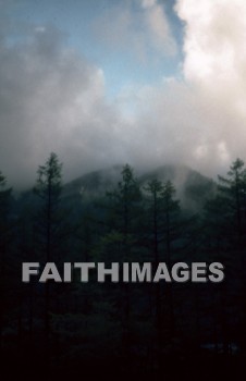 cloud, nature, environment, outdoors, outside, tree, natural, clouds, natures, environments, outsides, trees