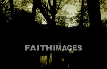 twilight, nature, environment, wood, tree, treetrunks, foliage, outdoors, forest, outside, leaf, dark, natural, twilights, natures, environments, woods, trees, foliages, forests, outsides, leaves