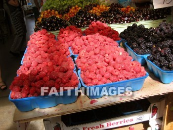 fruit, raspberry, blackberry, meal, bite, cookery, cooking, cuisine, diet, eatable, eats, edible, entree, fast, food, feed, fodder, foodstuff, goodies, home, meat, menu, feast, nourishment, nutriment, nutrition