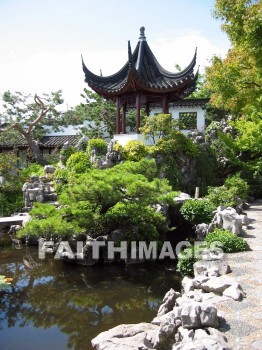 garden, Vancouver, Canada, Japanese, plant, Pond, beauty, Landscape, plants, ponds, landscapes