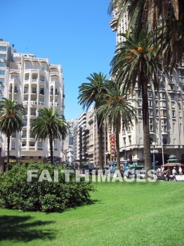 palm, tree, high-rise, apartment, flat, House, tower, edifice, framework, construction, architecture, dwelling, building, Montevideo, Uruguay, south, america, palms, trees, apartments, flats, houses, towers, frameworks, constructions, dwellings