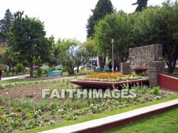 park, tree, Puerto, Madryn, Argentina, custom, community, current, present-day, Present, parks, trees, customs, communities, presents