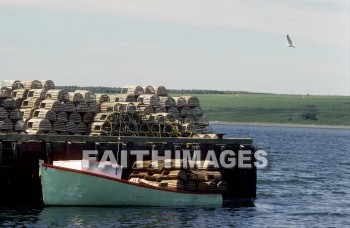 lobster, trap, wharf, waterfront, embarkment, harbor, landing, pier, marina, quay, dock, water, tide, shore, marine, coast, lobsters, Traps, wharves, wharfs, waterfronts, harbors, landings, piers, quays, docks