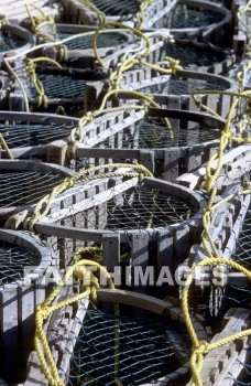 lobster, trap, wharf, waterfront, embarkment, harbor, landing, pier, marina, quay, dock, water, tide, shore, marine, coast, lobsters, Traps, wharves, wharfs, waterfronts, harbors, landings, piers, quays, docks