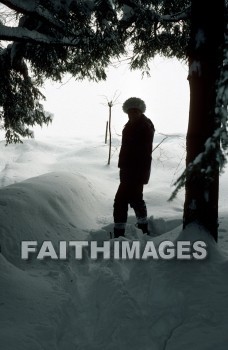 snow, winter, people, man, tree, snows, winters, peoples, men, trees