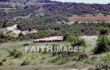 Amphipolis, Strimon, river, Strymon, Macedonia, lake, prasias, nine, way, trade, route, Via, egnatia, ignatian, road, Roman, neochori, popolia, Second, missionary, journey, sheep, Greece, animal, rivers, lakes