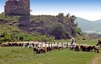 Amphipolis, Strimon, river, Strymon, Macedonia, lake, prasias, nine, way, trade, route, Via, egnatia, ignatian, road, Roman, neochori, popolia, Second, missionary, journey, sheep, Greece, animal, rivers, lakes