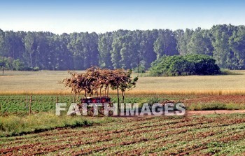 Appolonia, Second, missionary, journey, Macedonia, Via, egnatia, egnatian, road, ignatian, Roman, wagon, Greece, seconds, missionaries, journeys, roads, Romans, wagons