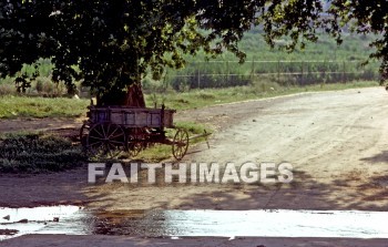 Appolonia, Second, missionary, journey, Macedonia, Via, egnatia, egnatian, road, ignatian, Roman, tree, wagon, Greece, seconds, missionaries, journeys, roads, Romans, trees, wagons