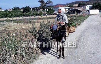 Corinth, donkey, woman, road, path, field, paul, pauls, Second, missionary, journey, Third, Greece, Donkeys, women, roads, paths, fields, seconds, missionaries, journeys, thirds