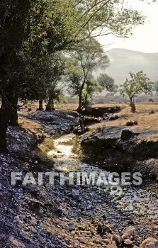 Phrygia, ancient, country, Asia, minor, stream, tree, mountain, Greece, ancients, countries, minors, streams, trees, mountains