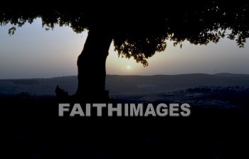 Israel, Adullam, cave, David, 1 samuel 22: 1-12, 2 samuel 23: 13-17, sunset, sunrise, caves, sunsets, sunrises