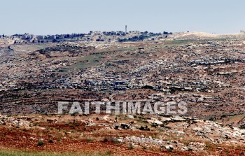 Israel, Anathoth, Anata, ras el-harrubeh, jeremiah's birthplace, birthplace, jeremiah, Ruin, archaeology, antiquity, artifacts, remains, birthplaces, ruins