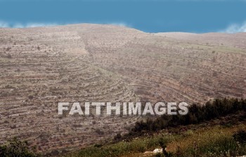 Israel, Arimathea, Rama, Ramla, Rentis, Ramathaim, joseph of arimathea, Shephelah, samuel's home, 1 samuel 1: 1