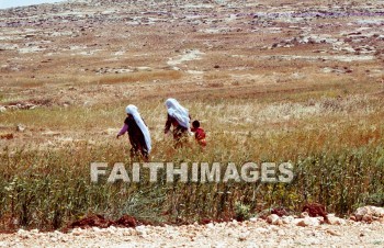 woman, child, people, bedouin, women, children, peoples