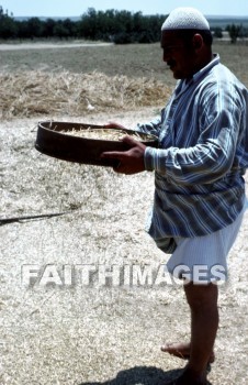 winnowing, pan, man, scoop, wooden, tossed, wind, thrown, blown, sift, sifted, sifting, winnowed, winnow, threshed, grain, agriculture, pans, men, scoops, winds, grains, agricultures