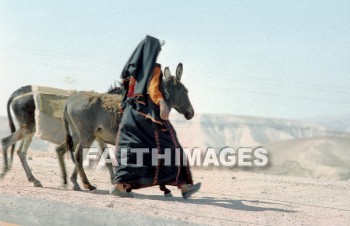 bedouin, donkey, mammal, livestock, ass, bridle, beast, burden, woman, woman, animal, Donkeys, mammals, asses, bridles, beasts, burdens, women, animals