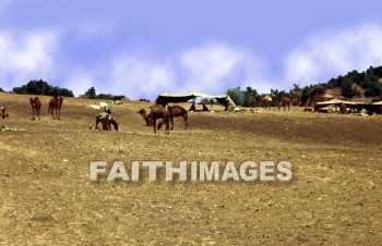 bedouin, hut, tent, House, shelter, nomad, village, middle, East, outdoors, villager, people, nomadic, bible, cloud, sky, desert, sheep, animal, huts, tents, houses, shelters, nomads, villages, middles