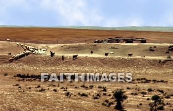 bedouin, tent, bible, people, nomadic, villager, shelter, outdoors, tent, House, shelter, nomad, middle, East, animal, tents, bibles, peoples, villagers, shelters, houses, nomads, middles, animals