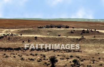 bedouin, hut, tent, House, shelter, nomad, village, middle, East, outdoors, villager, people, nomadic, bible, sheep, cloud, sky, desert, Shepherd, huts, tents, houses, shelters, nomads, villages, middles
