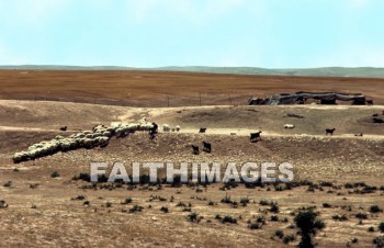 bedouin, hut, tent, House, shelter, nomad, village, middle, East, outdoors, villager, people, nomadic, bible, sky, cloud, desert, sheep, Shepherd, animal, huts, tents, houses, shelters, nomads, villages