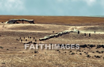 bedouin, hut, tent, House, shelter, nomad, village, middle, East, outdoors, villager, people, nomadic, bible, sky, cloud, desert, huts, tents, houses, shelters, nomads, villages, middles, villagers, peoples