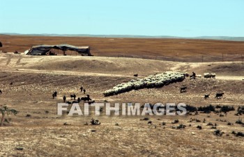 bedouin, hut, tent, House, shelter, nomad, village, middle, East, outdoors, villager, people, nomadic, bible, sky, desert, huts, tents, houses, shelters, nomads, villages, middles, villagers, peoples, bibles