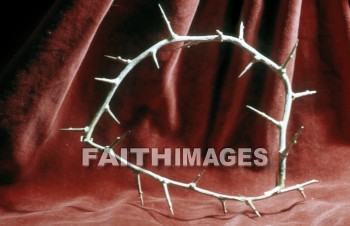 crown, thorn, Crucifixion, torture, Jesus, messiah, lord, Christ, passion, woundedness, Crowns, Thorns, crucifixions, tortures, lords, passions
