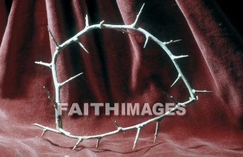 crown, thorn, Crucifixion, torture, Jesus, messiah, lord, Christ, passion, woundedness, Crowns, Thorns, crucifixions, tortures, lords, passions