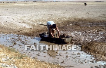 Shepherd, wash, washing, sheep, Goat, innocent, ingenious, honest, guileless, genuine, direct, Sacrifice, soft, lamb, harmless, food, gentle, wool, animal, shepherds, washes, washings, goats, sacrifices, lambs, foods