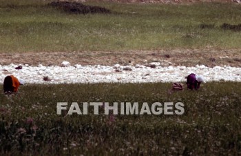 bedouin, woman, female, nomad, middle, East, villager, people, nomadic, women, females, nomads, middles, villagers, peoples