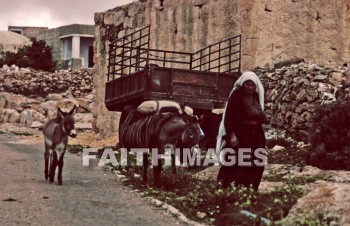 bedouin, woman, female, nomad, middle, East, villager, people, nomadic, women, females, nomads, middles, villagers, peoples