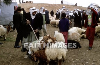 Beersheba, Shepherd, sheep, defend, guard, pilot, protect, safeguard, shield, usher, wool, gentle, food, harmless, lamb, soft, Sacrifice, less, honest, ingenious, innocent, naive, natural, open, plain, sincere