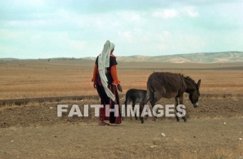 bedouin, Beersheba, nomad, hut, village, middle, East, outdoors, shelter, villager, people, nomadic, bible, tent, woman, female, woman, girl, donkey, nomads, huts, villages, middles, shelters, villagers, peoples