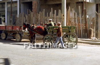 wagon, horse, turkey, rustic, rein, harness, livestock, drawn, animal, farm, wheel, load, pull, agriculture, wagons, horses, reins, harnesses, animals, farms, wheels, loads, pulls, agricultures