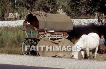 wagon, horse, turkey, rustic, rein, harness, livestock, drawn, animal, farm, wheel, load, pull, mammal, creature, critter, wagons, horses, reins, harnesses, animals, farms, wheels, loads, pulls, mammals