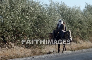 donkey, rider, animal, Cappadocia, Asia, turkey, minor, Pontus, Syria, Armenia, cilicia, lycaonia, road, Cilician, gate, Taurus, mountain, Roman, empire, Chistians, spread, Gospel, woman, boy, basket, Donkeys