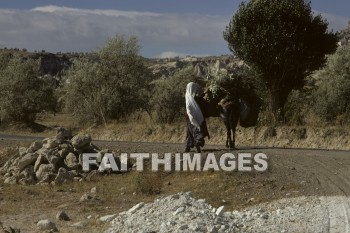 donkey, rider, animal, Cappadocia, Asia, turkey, minor, Pontus, Syria, Armenia, cilicia, lycaonia, road, Cilician, gate, Taurus, mountain, Roman, empire, Chistians, spread, Gospel, woman, basket, Donkeys, riders