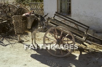 donkey, wagon, animal, Cappadocia, Asia, turkey, minor, Pontus, Syria, Armenia, cilicia, lycaonia, road, Cilician, gate, Taurus, mountain, Roman, empire, Chistians, spread, Gospel, basket, cart, Donkeys, wagons