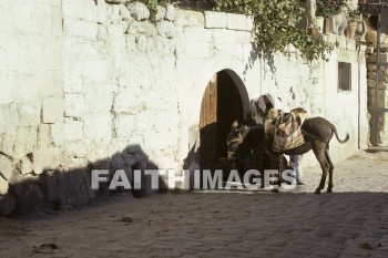 donkey, work, animal, Cappadocia, Asia, turkey, minor, Pontus, Syria, Armenia, cilicia, lycaonia, road, Cilician, gate, Taurus, mountain, Roman, empire, Chistians, spread, Gospel, wall, Donkeys, works, animals