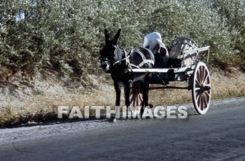 wagon, donkey, animal, Cappadocia, Asia, turkey, minor, Pontus, Syria, Armenia, cilicia, lycaonia, road, Cilician, gate, Taurus, mountain, Roman, empire, Chistians, spread, Gospel, cart, horse, wagons, Donkeys