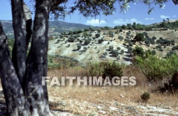 Ephesus, past, remote, early, history, distant, time, bygone, day, antiquity, ancient, old, archaeology, Ruin, anthropology, culture, christian, Roman, Mediterranean, turkey, histories, times, days, ancients, ruins, cultures