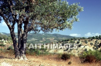 Ephesus, countryside, past, remote, early, history, distant, time, bygone, day, antiquity, ancient, old, archaeology, Ruin, anthropology, culture, christian, Roman, Mediterranean, turkey, countrysides, histories, times, days, ancients