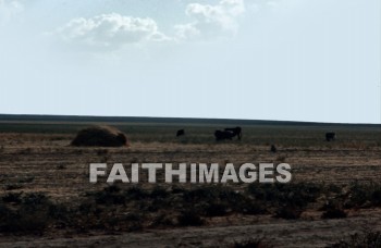 haran, Charran, turkey, Mesopotamia, Terah, Abram, sarai, lot, Eliezer, Isaac, Jacob, Rachel, Leah, laban, cattle, grazing, mountain, pasture, meat, agriculture, lots, mountains, pastures, meats, agricultures