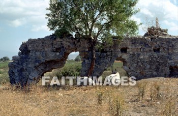 miletus, turkey, Ruin, paul, Third, missionary, journey, archaeology, antiquity, cattle, ruins, thirds, missionaries, journeys